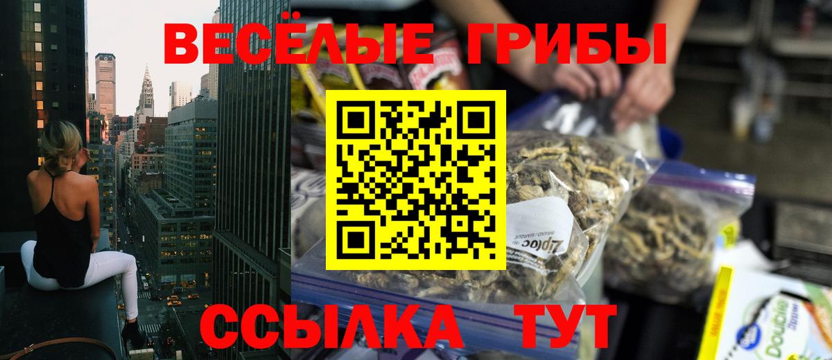 Бузулук  Псилоцибиновые грибы Cubensis  Вход с VPN 